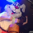 Galerie POWER GREEN KOMM Easter Bunny